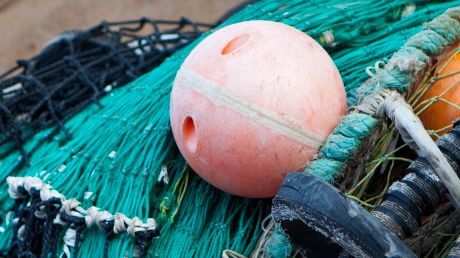 Krav på mer selektiva redskap i Skagerrak
