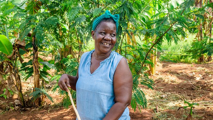Foto: Eseri Gaalya Mayuge från Uganda har fått stöd från Vi-skogen att odla med metoden agroforestry. ”Det har förändrat mitt liv”, säger hon. Fotograf: Joseph Lubega Mukaawa.