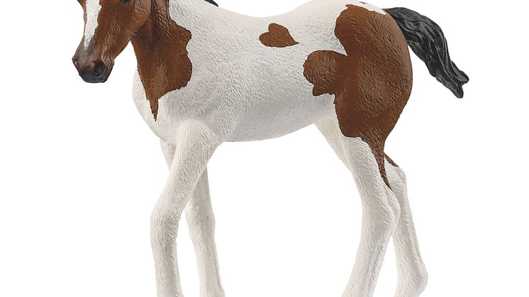 14899_Horse Club_Paint Horse Fohlen_(c)schleich®