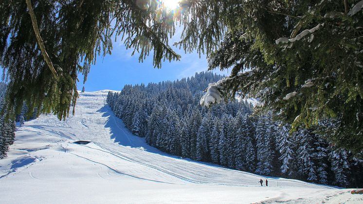 Winterwanderung Heiligkreuz-First (via kleine First) 