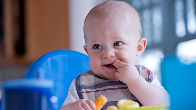  Nu till Sverige!  Finger Foods från brittiska Organix
