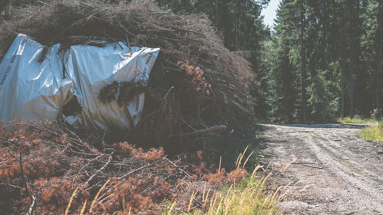 Biobränsle från Holmen_Foto Crelle