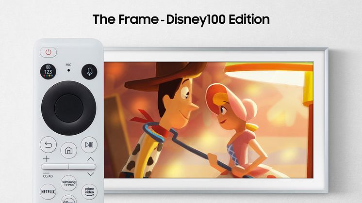 The Frame-Disney100 Edition _03