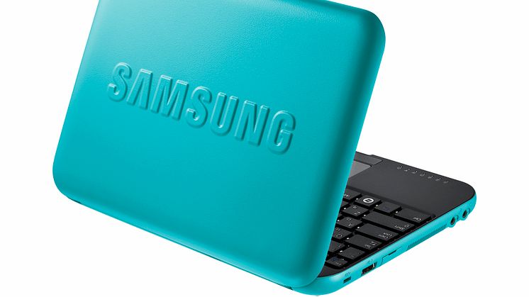 Mini-laptop N310