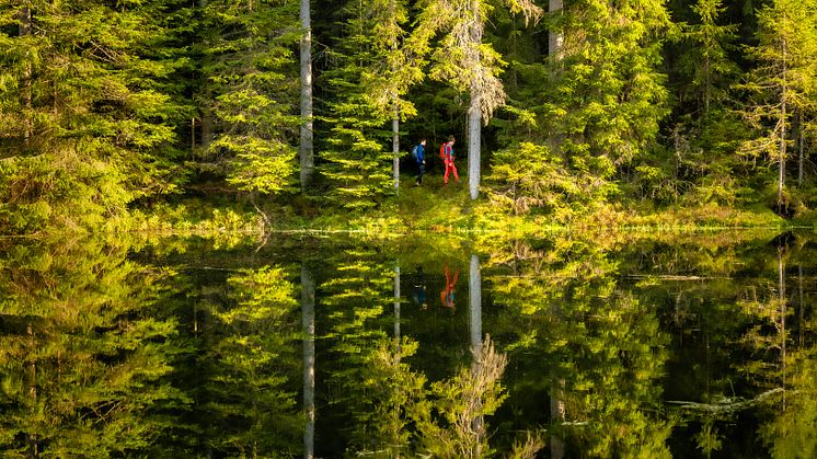 Enzklösterle_Nördlicher_Schwarzwald_Kaltenbachsee_.jpg