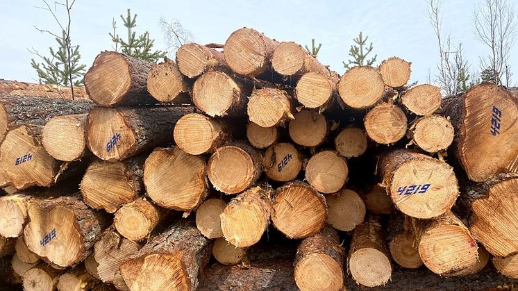 Logscom har utvecklat ett automatiserat system för virkesmärkning som byggs in direkt i skogsmaskinerna. (Foto: Logscom)