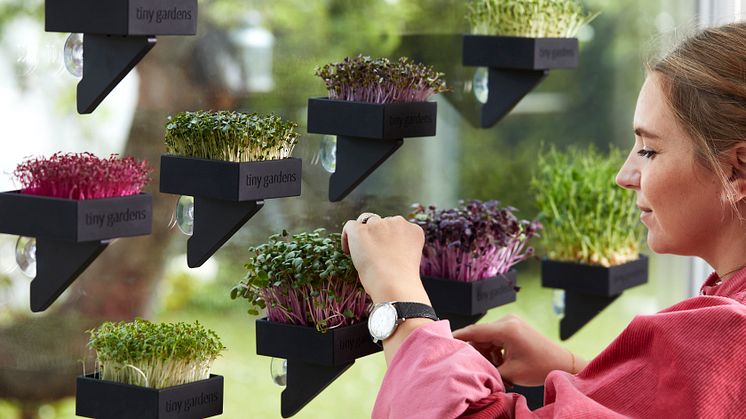 Ett balkongset från Tiny Gardens är både praktiskt och dekorativt