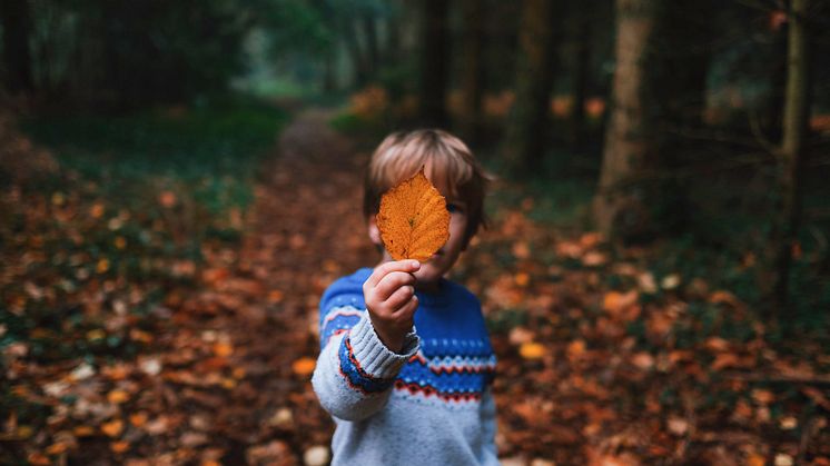Foto: Annie Spratt/Unsplash