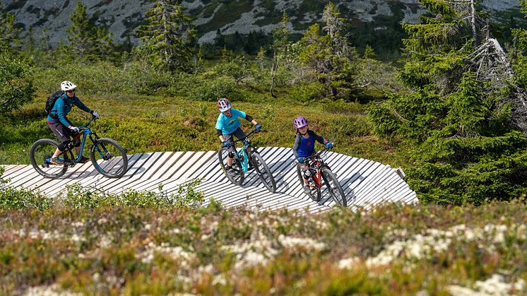 Stisykling er hovedgrunnen til at mange familier velger Trysil om sommeren. Foto: Jonas Sjögren/Trysil