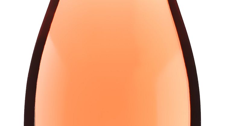 Succérosé i ny skepnad