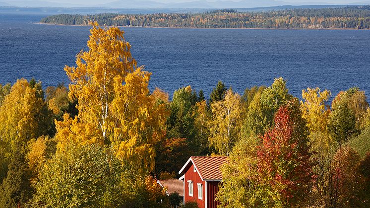 Läget på elmarknaden oktober