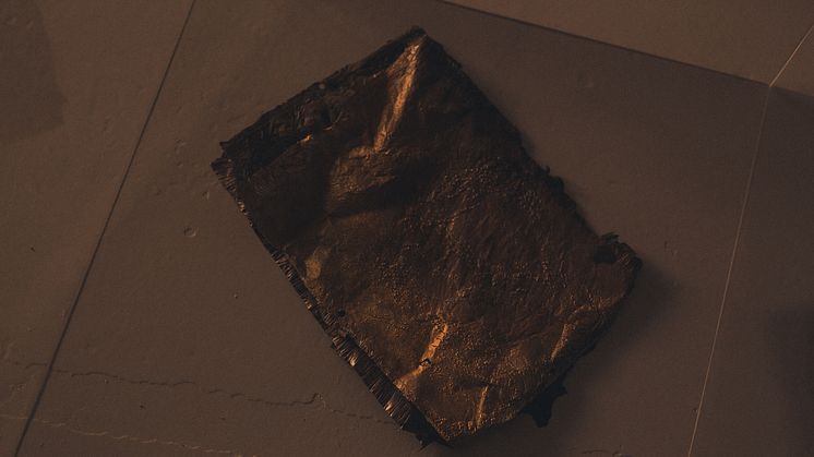 Copper and Ashes, 2018, Theresa Traore Dahlberg Färgfabriken
