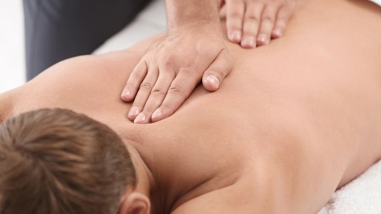 Forhandler af massagebrikse i høj kvalitet
