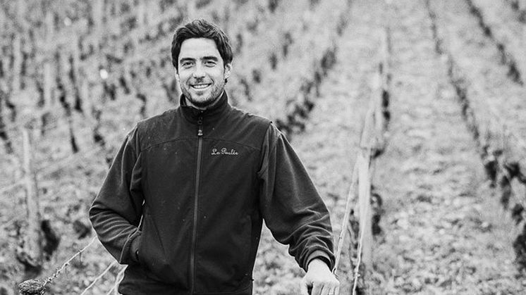 Thomas Bouley – ung men väl rotad vinmakare i hjärtat av Bourgogne
