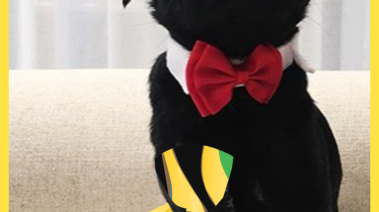 Marabou når fler än en miljon svenskar via Snapchatkampanj