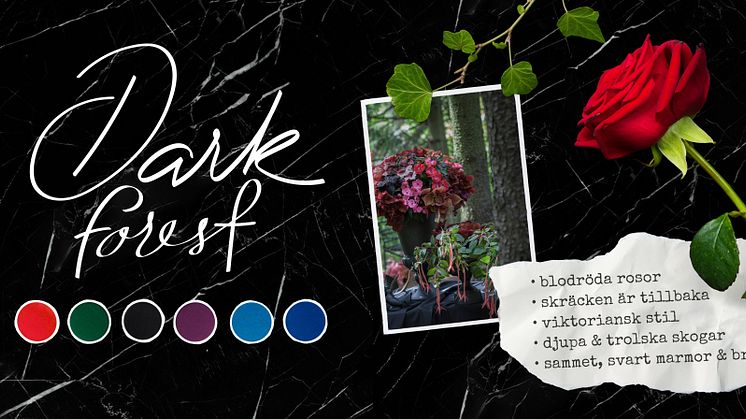 Dark Forest