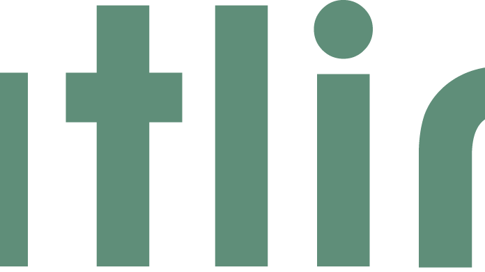 Natlink Logo
