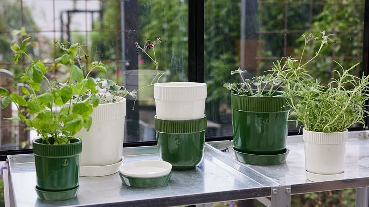 Sagaform SS24 - Elise pot
