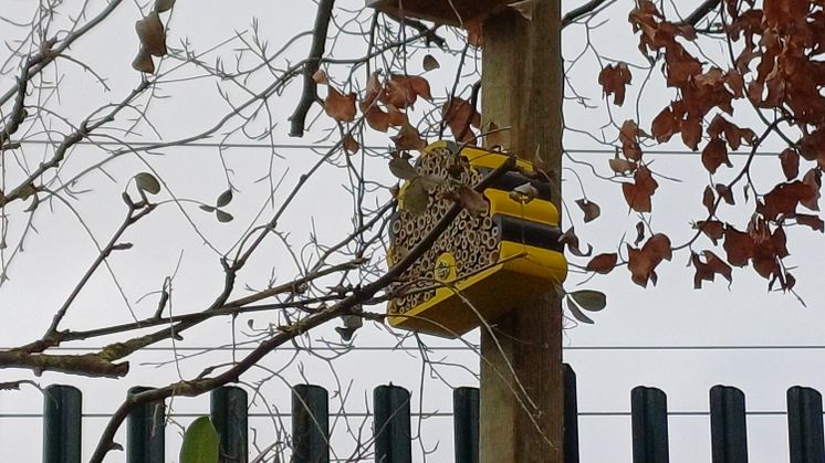 Harlington homes for nature