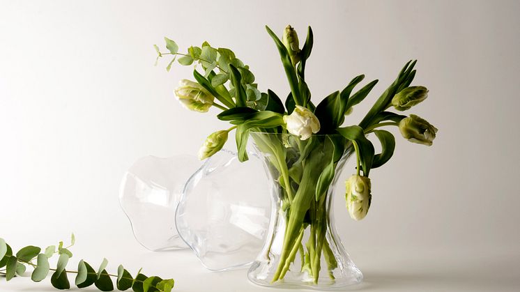 TULPE_SIRIBOEKHOUT_2