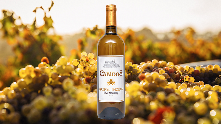 Den 19 augusti klockan 10.00 lanseras Cabidos Gaston Phoebus Petit Manseng Sec 2019 som en tillfällig exklusiv lansering på Systembolaget. Nr 94588 · Flaska 750 ml · 14,5 % · Pris 179 kr · Antal flaskor: 1.200.