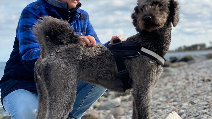 Zmartas vd Catharina Skommevik med hunden Luna, som också är det populäraste hundnamnet 2023.