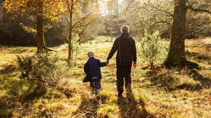 Den 25 september kl 14:00 arrangerar Jordbruksverket, SVA, Distriktsveterinärerna, Svenska Jägareförbundet samt Fagersta och Norbergs kommuner en pressträff i Fagersta . Foto: Anders Andersson, Scandinav