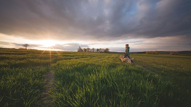 Tierische Entschleunigung beim Wandern mit Hund.