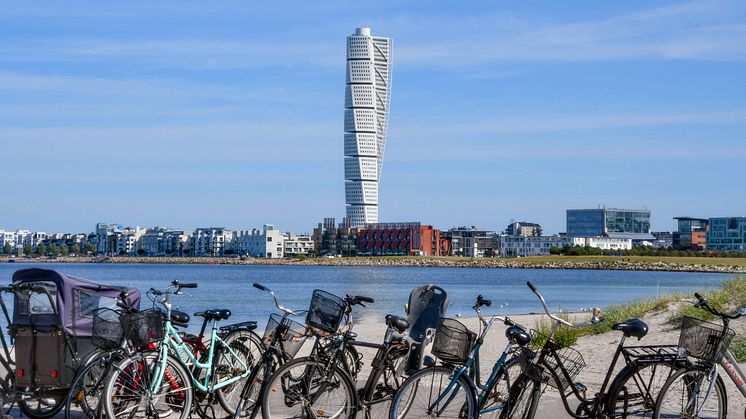 DSC_7884.jpg