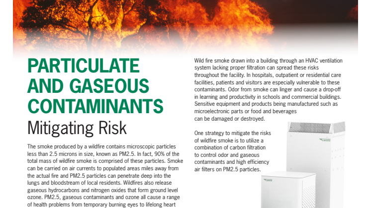 Flyer-Wildfire-Smoke.pdf