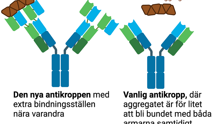 Swedish.png