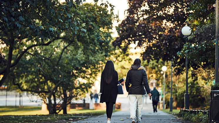 Helsingborgs stad sätter fler i arbete 