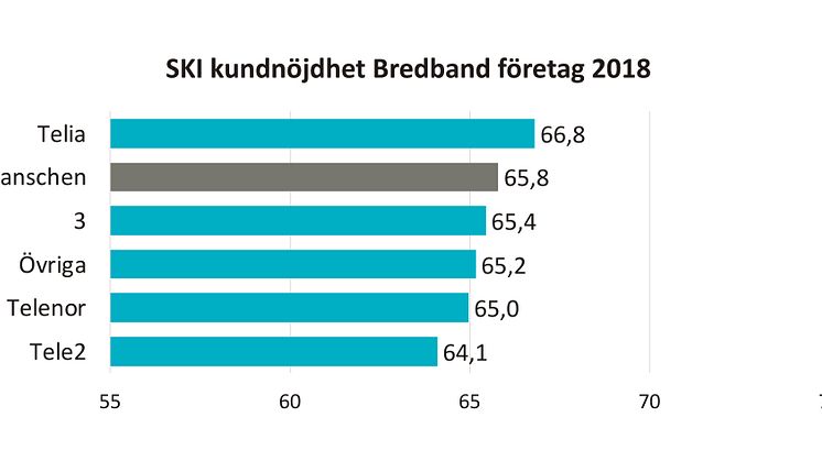 SKI kundnöjdhet Bredband B2B 2018