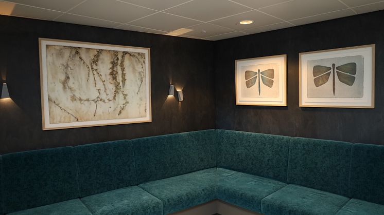 Havila Castor - billedkunst