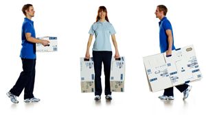 Tork Carry Box