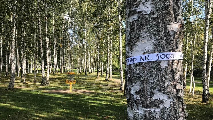 Tusen träd adopterade