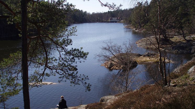 KSLA Nytt & Noterat nr 1-2021