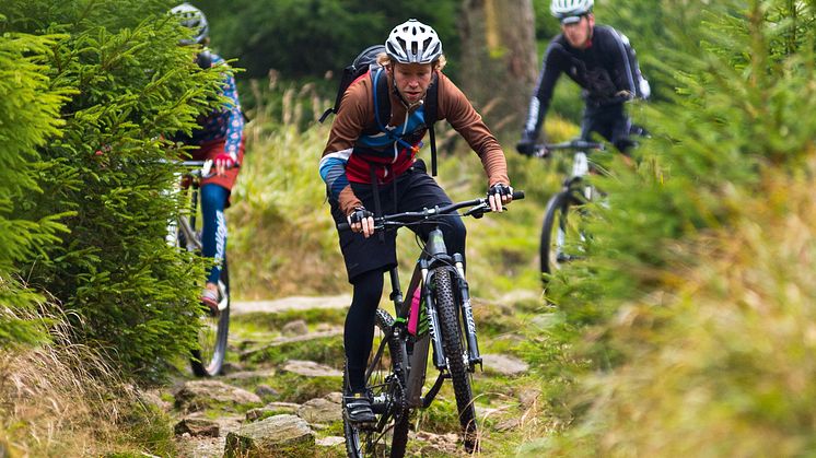 MTB i Harzen
