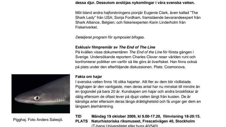 Hajfenfiske – en smaklös soppa