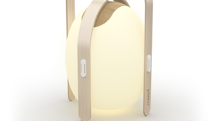 Trådlös högtalare och lampa, large - frilagd