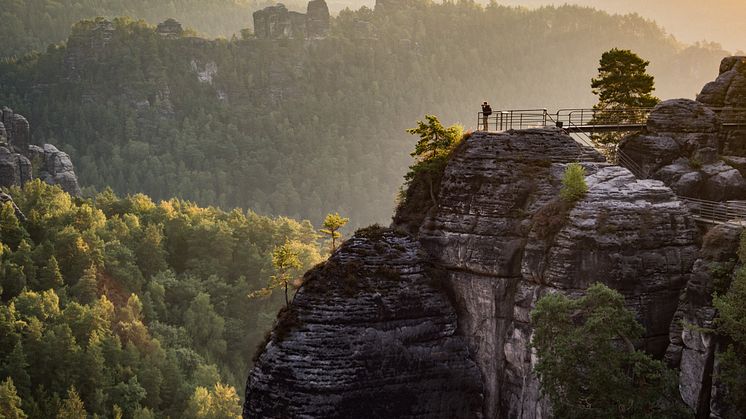 Lohmen_Sächsische_Schweiz_Aussicht_von_der_Bastei,_Nationalpark