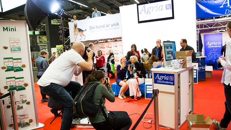 Pristagare till Årets Utställningshund fotograferas på MyDOG 2014