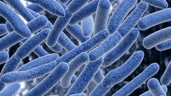 Finns ESBL-bildande E. coli i livsmedel?