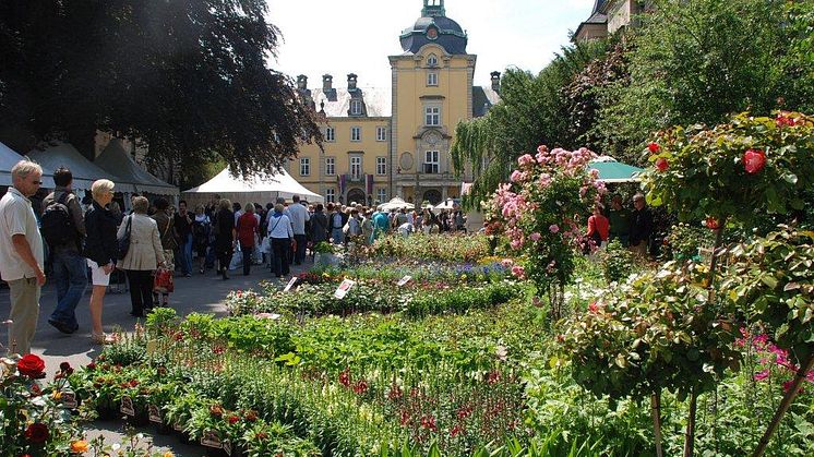 Landpartie Schloss Bückeburg vor dem Schloss.jpg