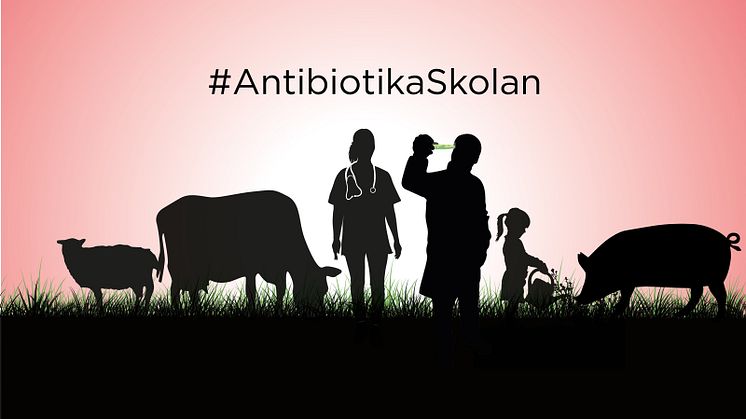 Antibiotikaskolan1