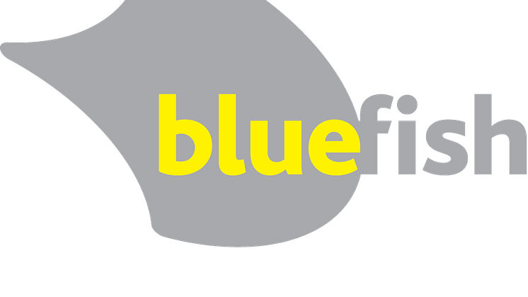 Telenor Connexion and Bluefish Technologies announce joint solution for safeguarding networks