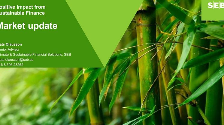The five pillars of Green Bonds & Sustainable Finance - Grønne obligasjoner steg for steg.