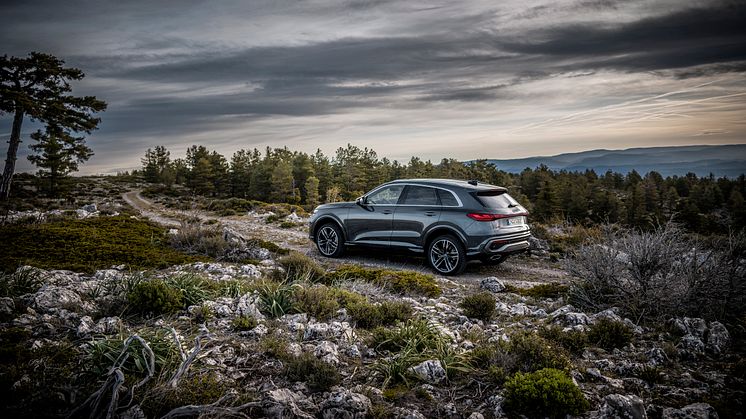 Audi Q5 (Daytonagrå perleeffekt)