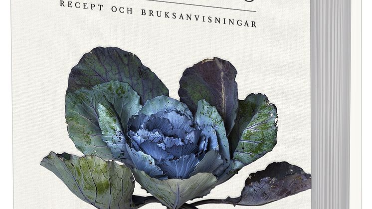 Bokomslag_Paul-Svensson_3D.jpg