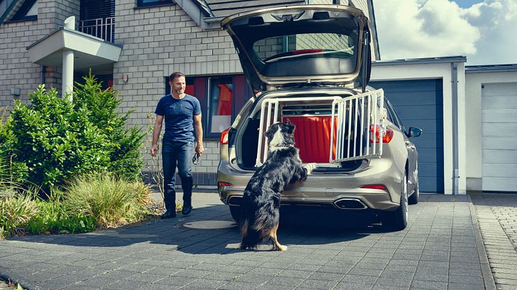 Stort hundehus i Ford Focus stationcar
